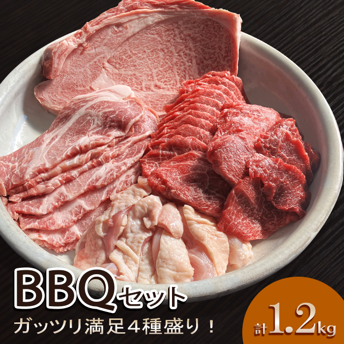 4種盛りBBQセット3-4人前