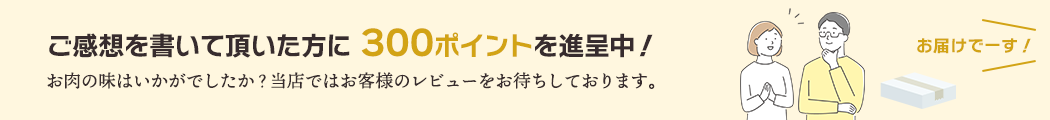 ご感想をお寄せ頂くと300ポイントをプレゼント